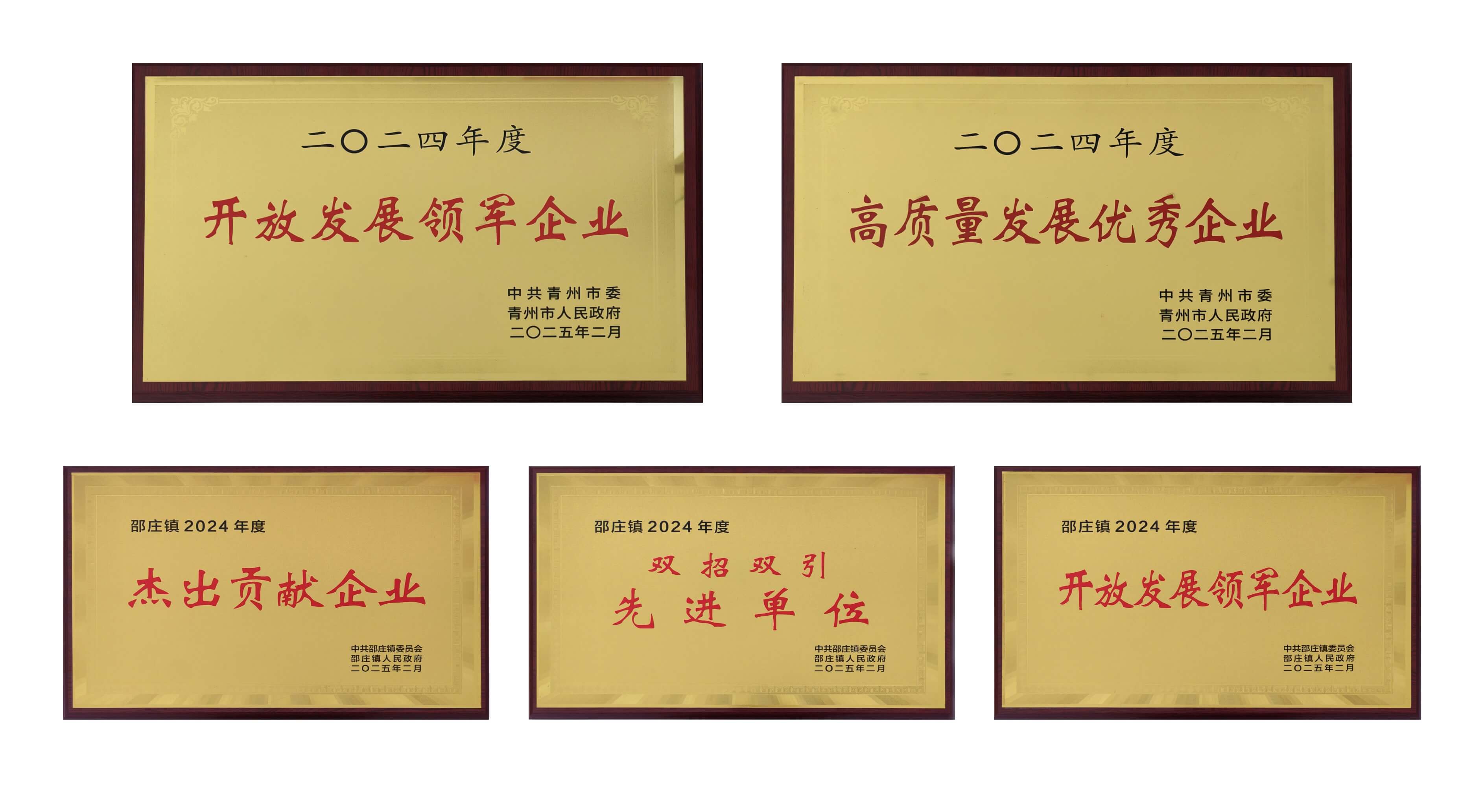 山東英科醫(yī)療榮獲多項(xiàng)殊榮